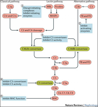 1571122018230780.jpg t004.jpg